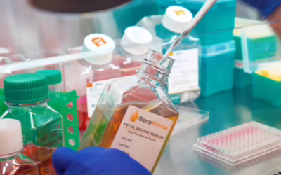 Fetal Bovine Serum – Most Common Questions Answered