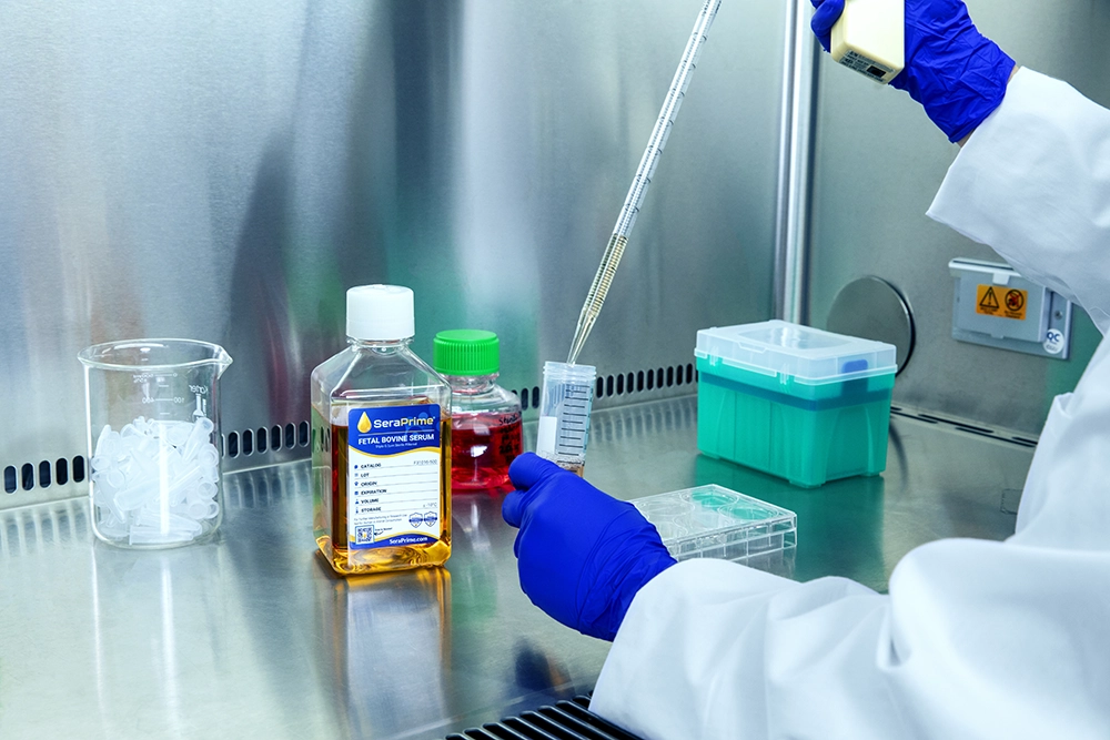 person in lab putting serum in bottles