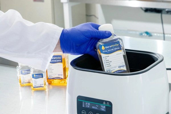 person wearing medical gloves, putting serum bottle in a warmer