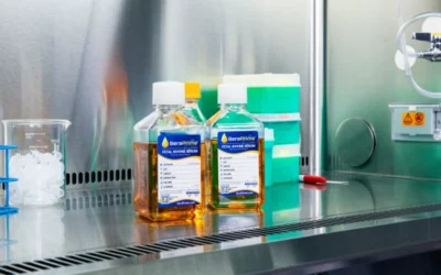 Which Fetal Bovine Serum is Best for Your Research?