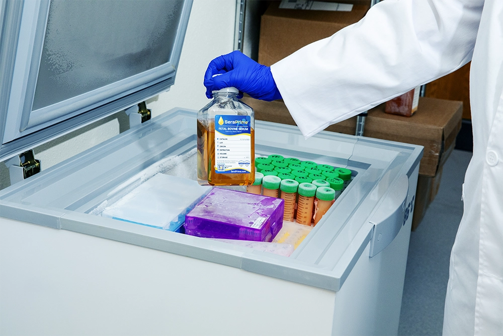 person with lab coat holding serum bottle