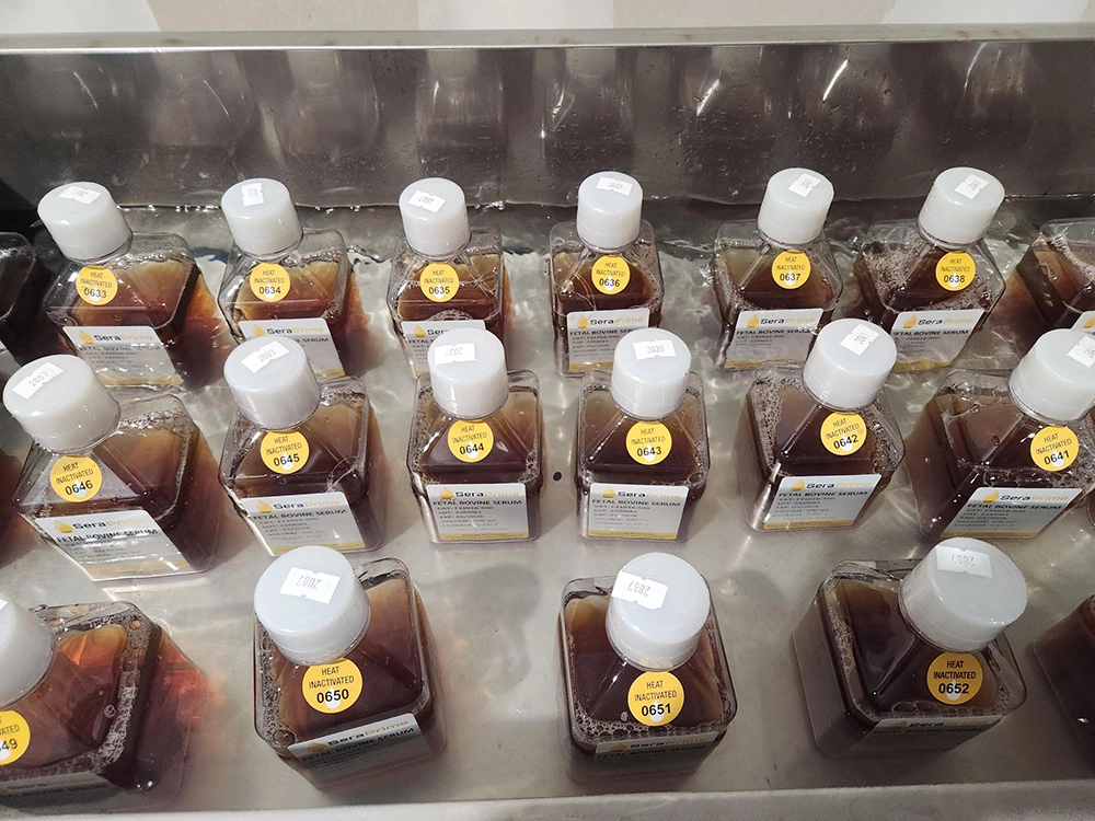serum bottles in medical lab 
