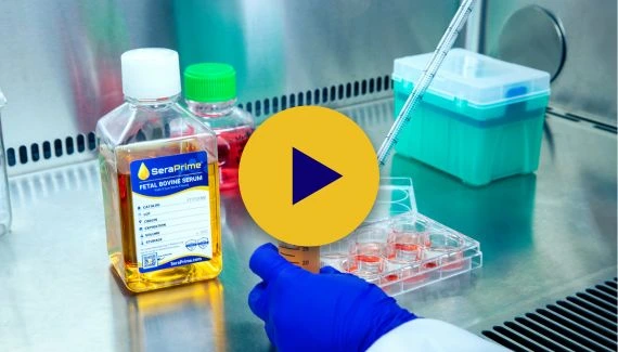 A science lab with fetal bovine serum 