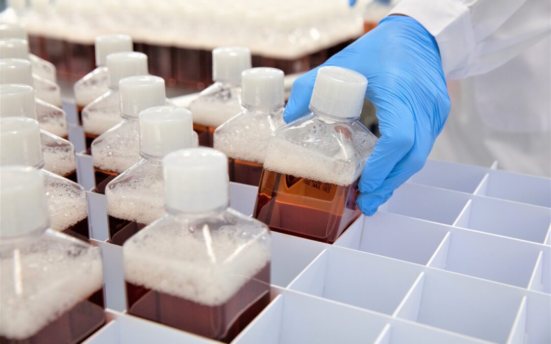 The Sheep Shortage Slowing Biotech: Why a Regulatory Bottleneck Threatens 2026 Research Continuity