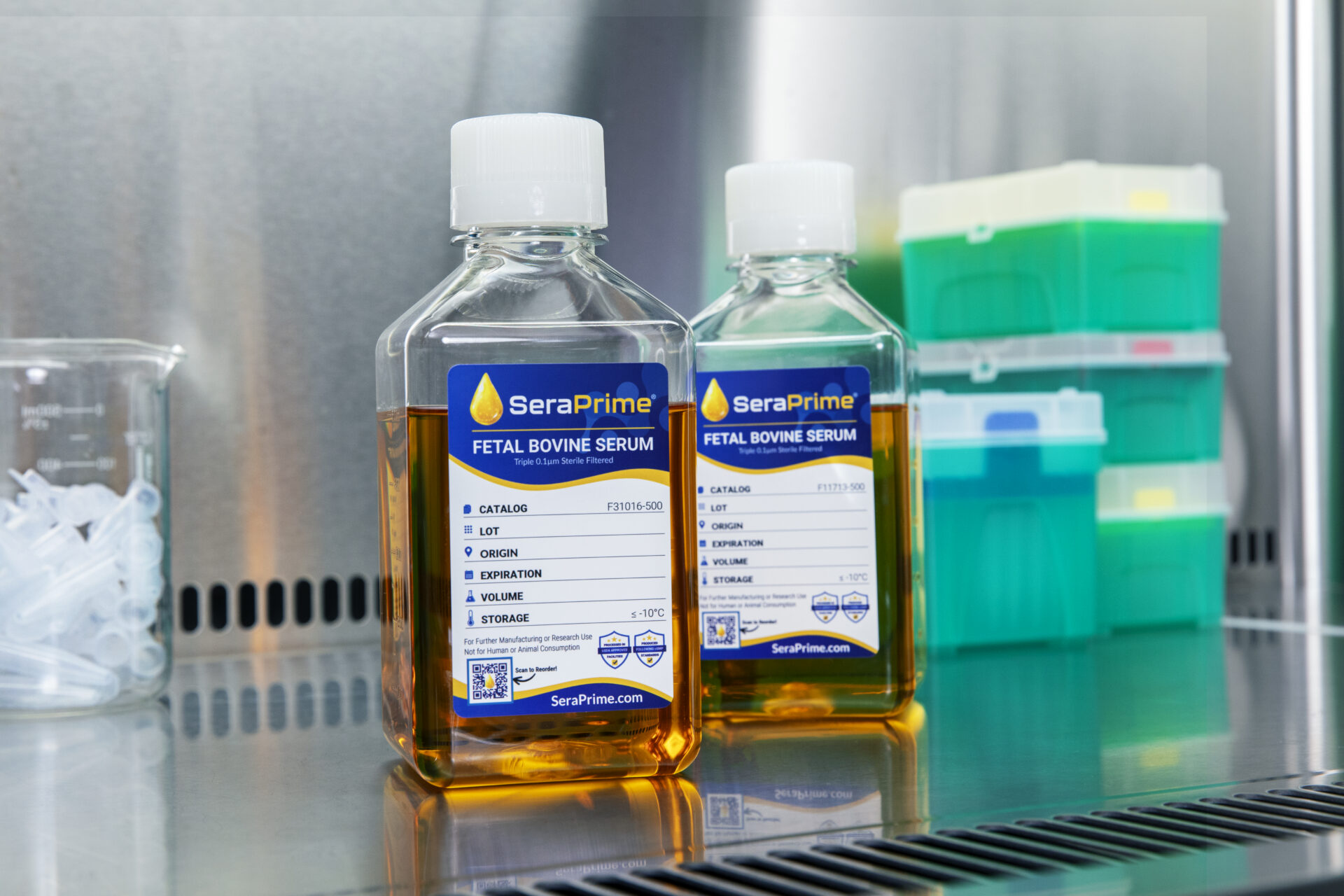 Two bottles labeled "Fetal Bovine Serum" and "Exosome-Depleted FBS" with orange liquid stand on a lab bench near pipette tips and a green-blue storage box in a laboratory workspace. Two bottles labeled "Fetal Bovine Serum" and "Exosome-Depleted FBS" with orange liquid stand on a lab bench near pipette tips and a green-blue storage box in a laboratory workspace.