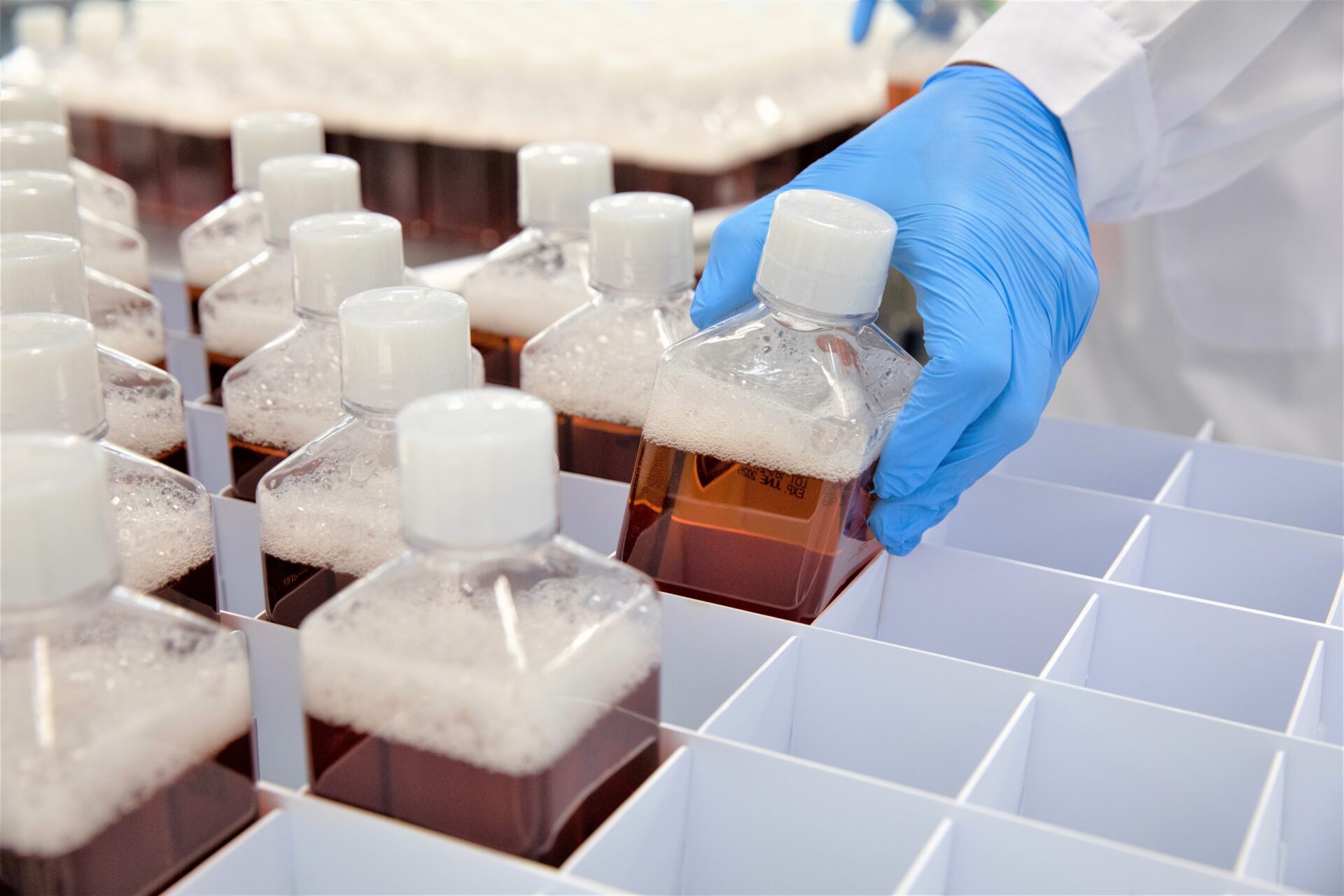 A gloved hand places a plastic bottle filled with brown liquid among rows of similar bottles in a white storage rack, possibly in a laboratory setting. A gloved hand places a plastic bottle filled with brown liquid among rows of similar bottles in a white storage rack, possibly in a laboratory setting.