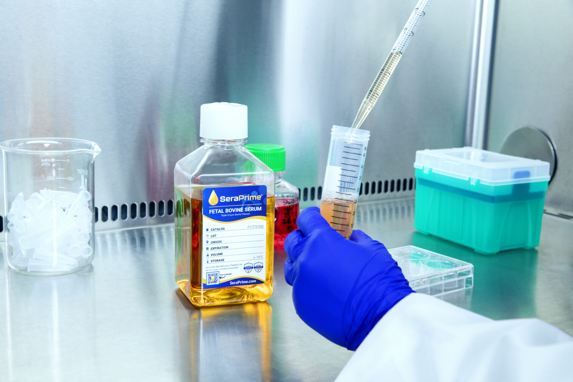 A gloved hand uses a pipette to transfer an orange liquid from a bottle labeled "Fetal Bovine Serum" into a graduated cylinder in a laboratory setting. Other lab containers and equipment are visible nearby. A gloved hand uses a pipette to transfer an orange liquid from a bottle labeled "Fetal Bovine Serum" into a graduated cylinder in a laboratory setting. Other lab containers and equipment are visible nearby.